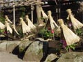 20031025_kamakura_01_s.jpg